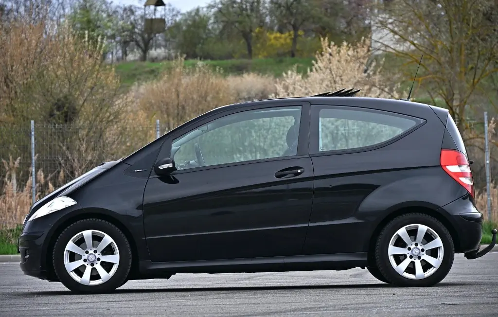 image (11)_result.webp