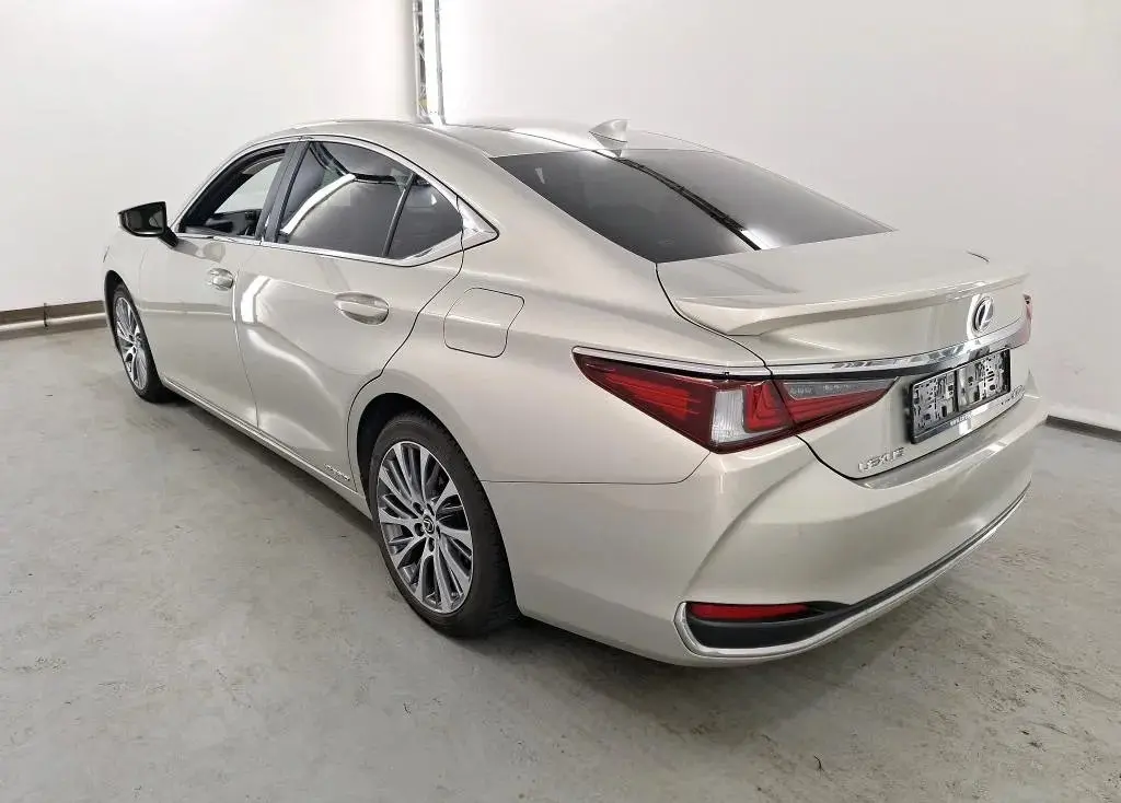 image (6)_result.webp