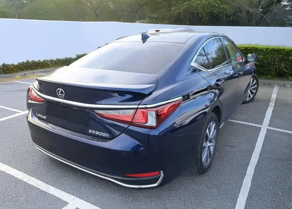 image (3)_result.webp