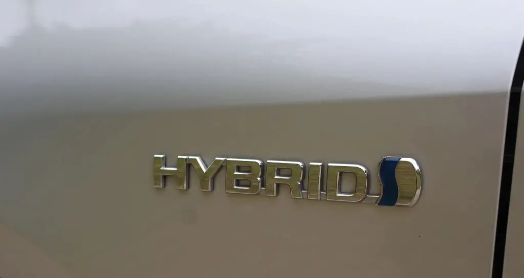 image (40)_result.webp