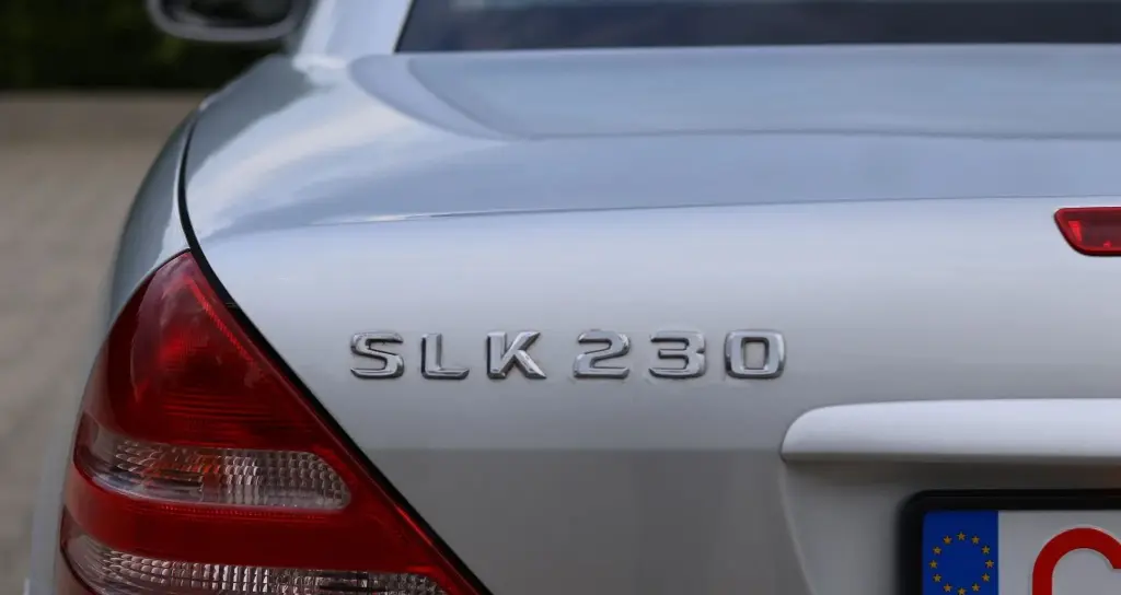 image (31)_result.webp