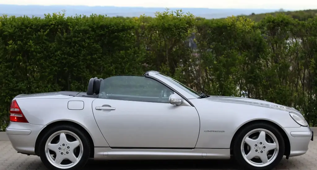 image (24)_result.webp