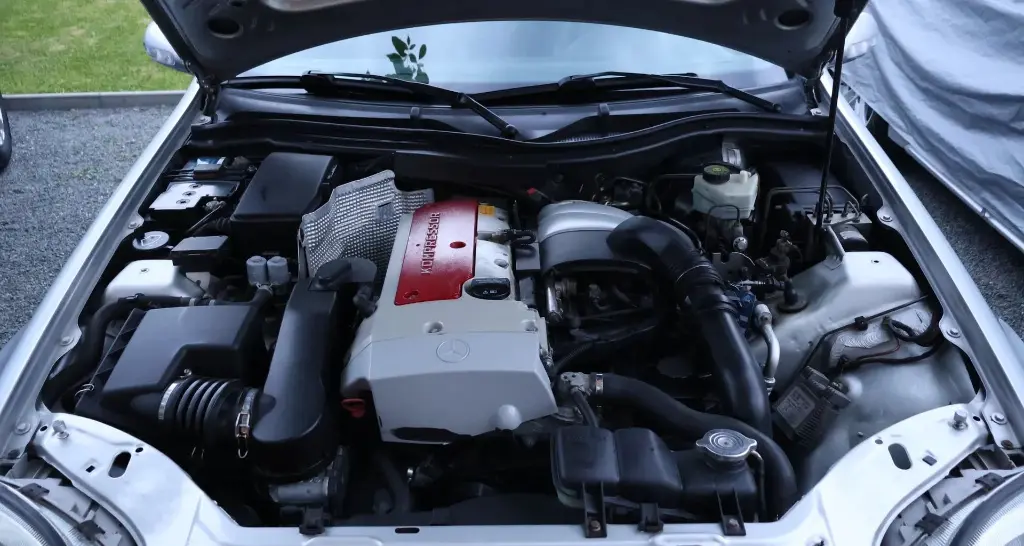 image (34)_result.webp