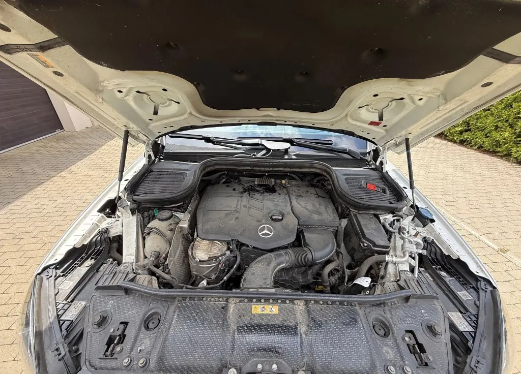 image (34)_result.webp