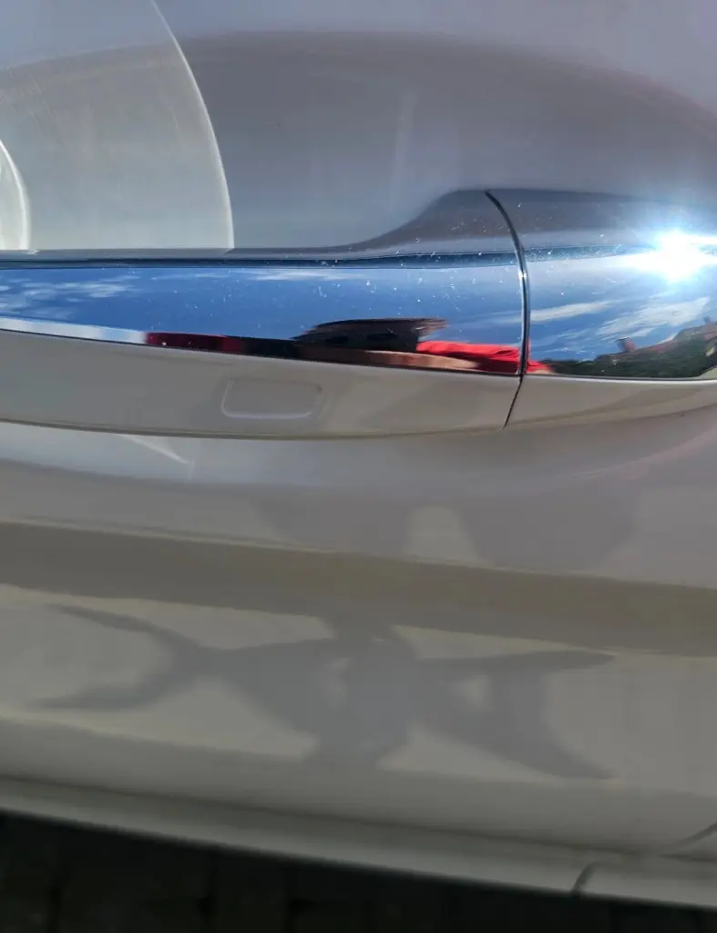 image (19)_result.webp