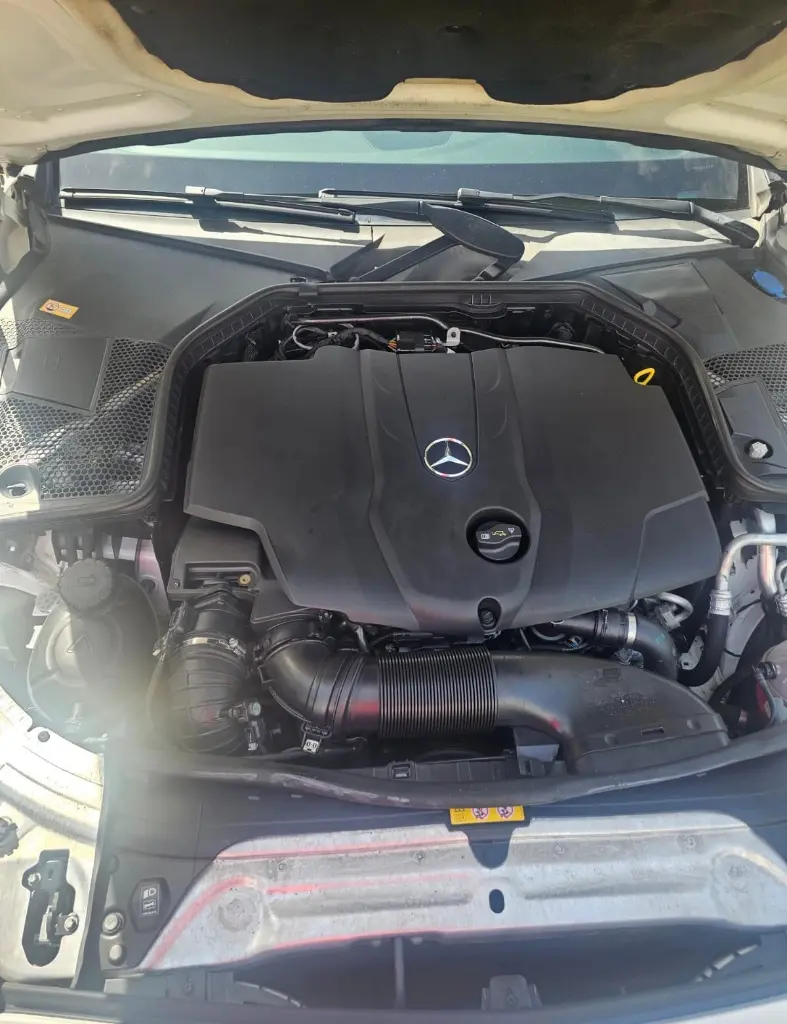 image (16)_result.webp