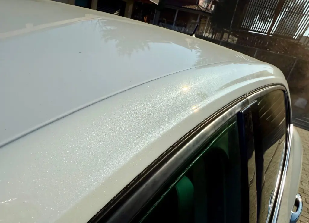 image (23)_result.webp