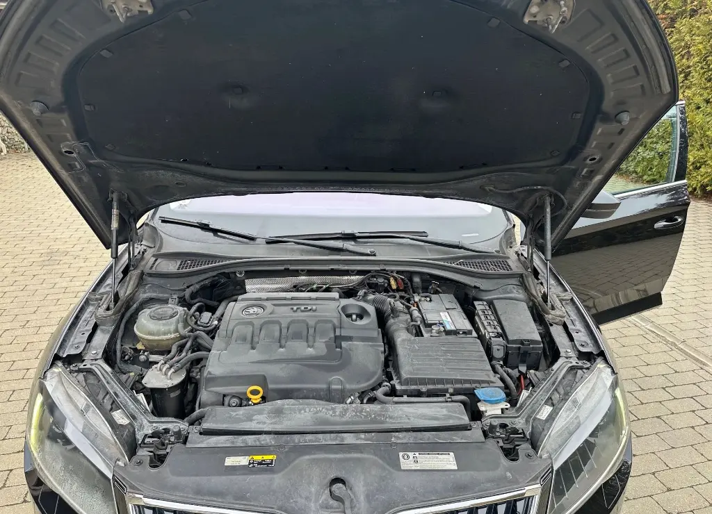 image (29)_result.webp