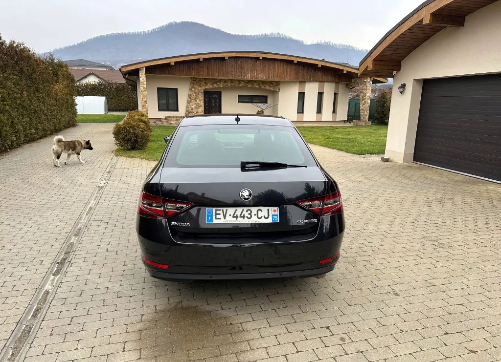 image (25)_result.webp