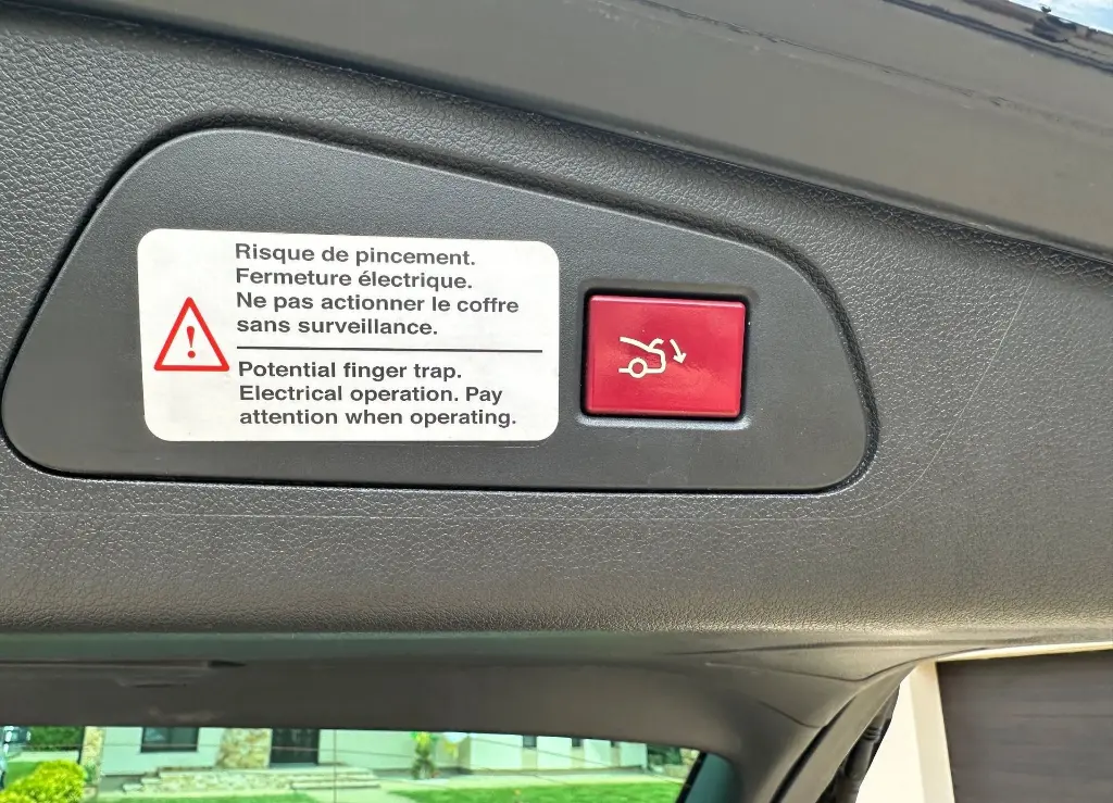 image (29)_result.webp