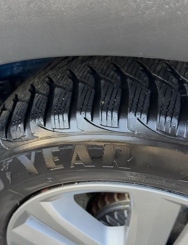 image (29)_result.webp